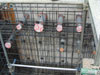 2008/04/07 <br>
				^gHBb̌^gč݂Jn܂B<br>
				ݔ̃X[uݒuB